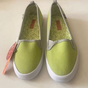 Four canvas flats
